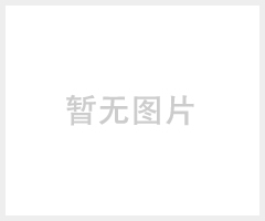 供应精谱 MX-2型 X荧光手持式矿石分析仪 (MX-2型)